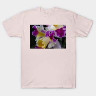 Orchid T-Shirt